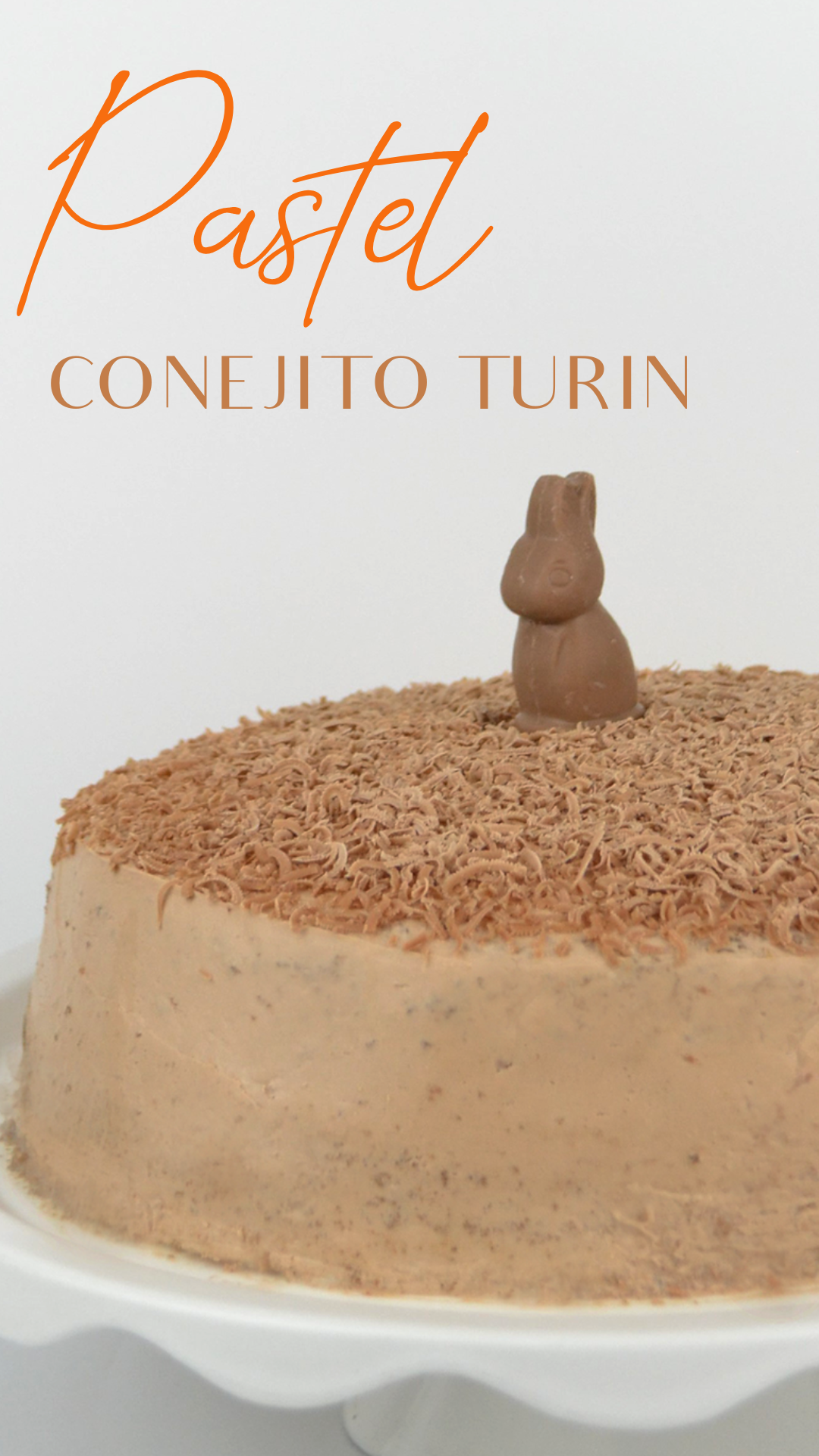 Pastel de conejito Turin